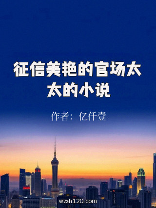 征信美艳的官场太太的小说
