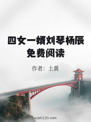 四女一婿刘琴杨辰免费阅读