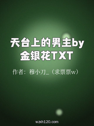 天台上的男主by金银花TXT