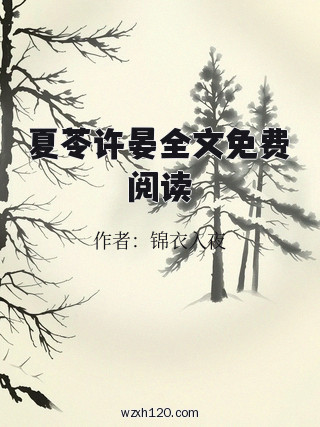 夏苓许晏全文免费阅读