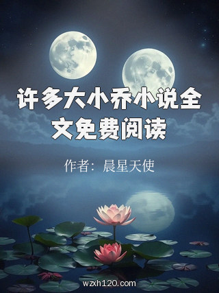许多大小乔小说全文免费阅读