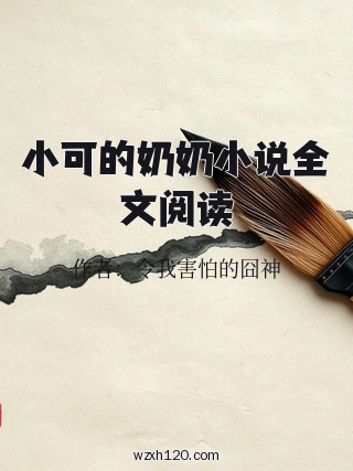 小可的奶奶小说全文阅读