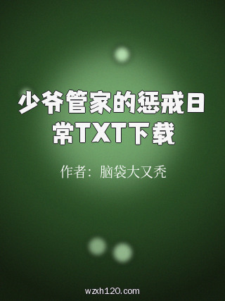 少爷管家的惩戒日常TXT下载