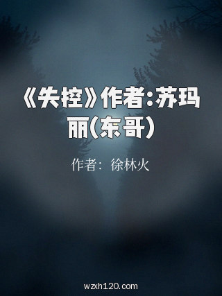 《失控》作者:苏玛丽(东哥)