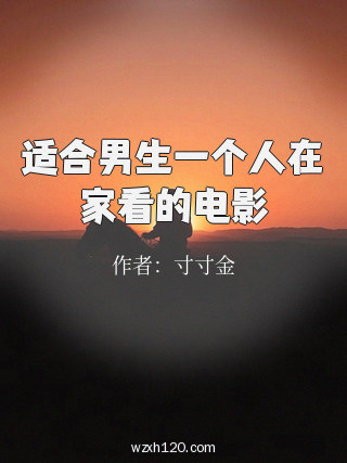 适合男生一个人在家看的电影