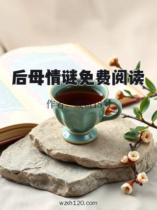 后母情谜免费阅读