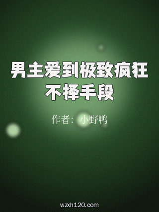 男主爱到极致疯狂不择手段