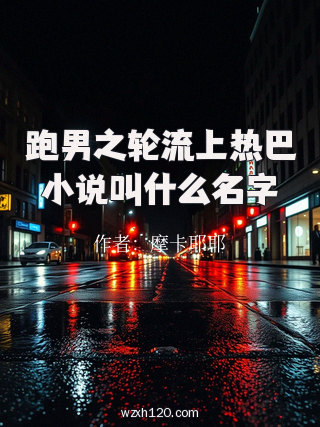 跑男之轮流上热巴小说叫什么名字