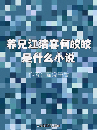 养兄江清宴何皎皎是什么小说