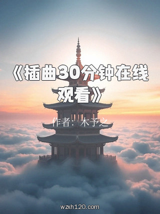 《插曲30分钟在线观看》