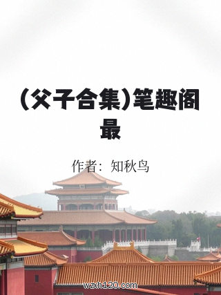 (父子合集)笔趣阁最