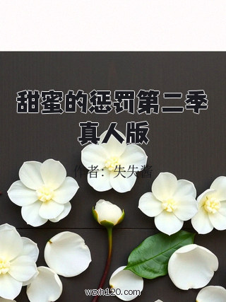 甜蜜的惩罚第二季真人版