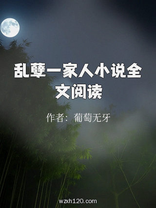 乱孽一家人小说全文阅读