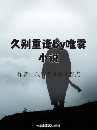 久别重逢by唯雾小说