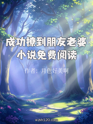 成功撩到朋友老婆小说免费阅读