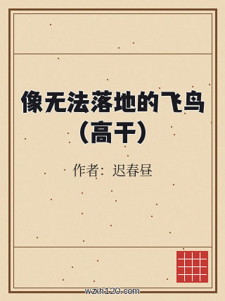 像无法落地的飞鸟(高干)