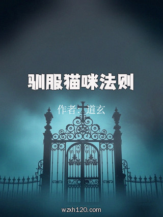 驯服猫咪法则
