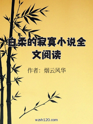 白柔的寂寞小说全文阅读