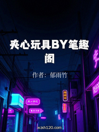 夹心玩具BY笔趣阁