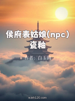 侯府表姑娘(npc)瓷釉