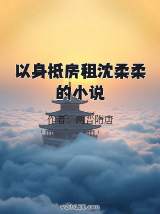 以身抵房租沈柔柔的小说