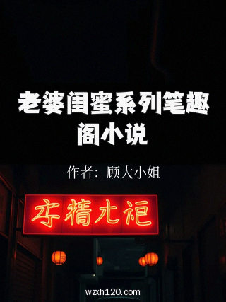 老婆闺蜜系列笔趣阁小说