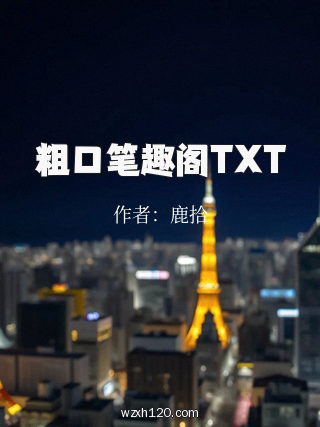 粗口笔趣阁TXT
