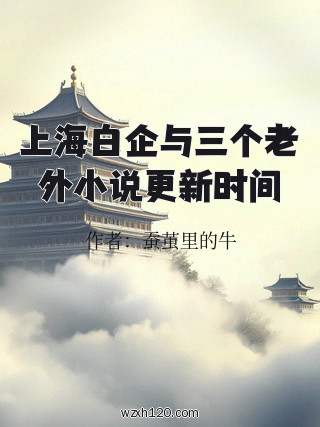 上海白企与三个老外小说更新时间