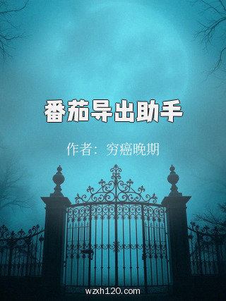 番茄导出助手