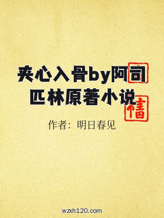夹心入骨by阿司匹林原著小说
