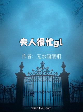 夫人很忙gl