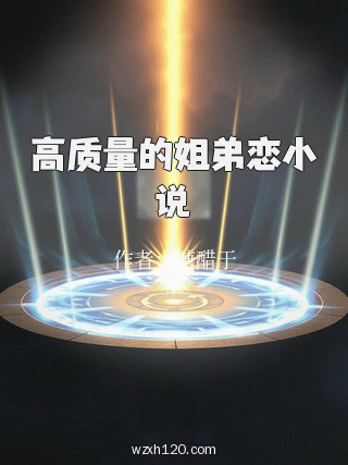 高质量的姐弟恋小说