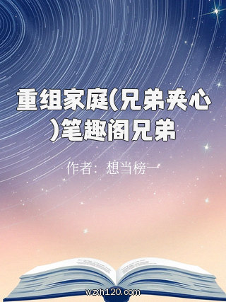 重组家庭(兄弟夹心)笔趣阁兄弟