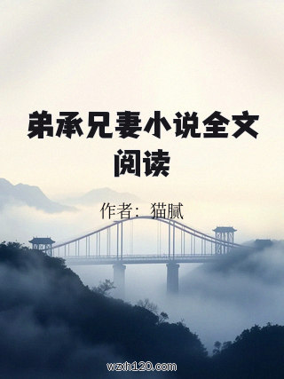 弟承兄妻小说全文阅读