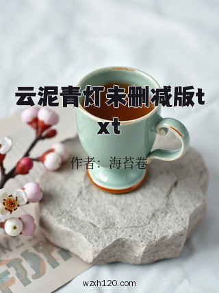 云泥青灯未删减版txt