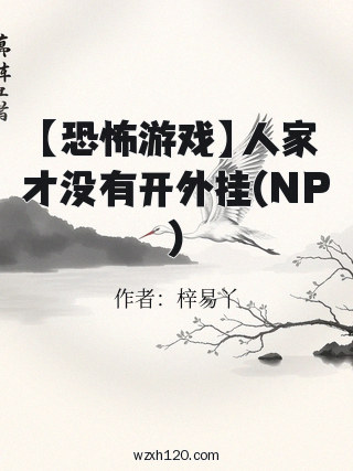【恐怖游戏】人家才没有开外挂(NP)