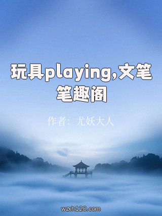 玩具playing,文笔笔趣阁