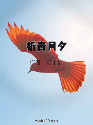 折青月夕
