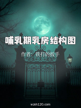 哺乳期乳房结构图