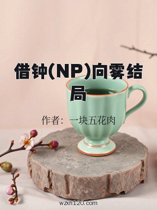 借钟(NP)向雾结局