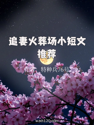 追妻火葬场小短文推荐