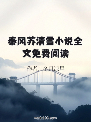 秦风苏清雪小说全文免费阅读