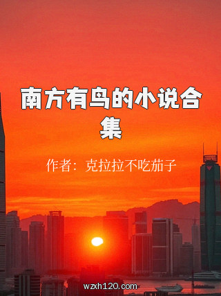 南方有鸟的小说合集