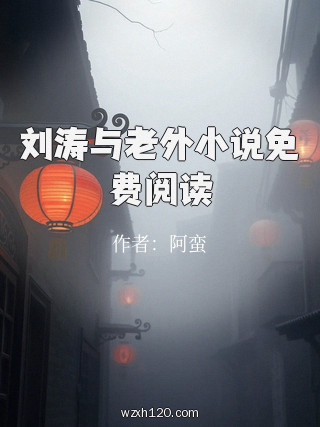 刘涛与老外小说免费阅读