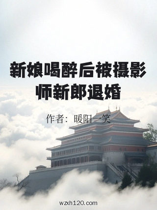 新娘喝醉后被摄影师新郎退婚