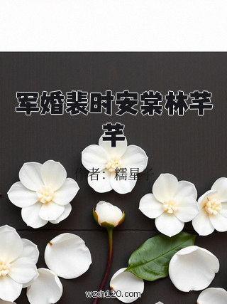 军婚裴时安棠林芊芊
