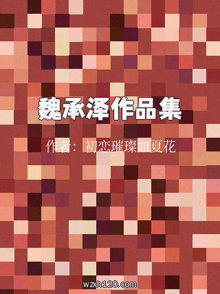 魏承泽作品集