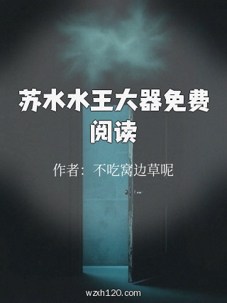 苏水水王大器免费阅读