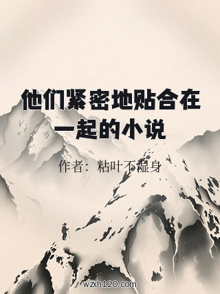 他们紧密地贴合在一起的小说