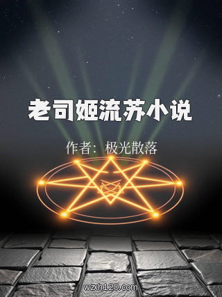 老司姬流苏小说